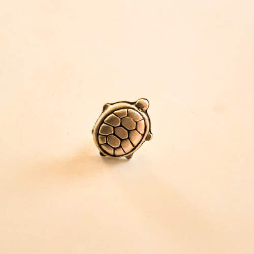 Bijou tortue